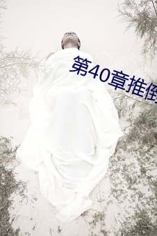 第40章推倒林姨