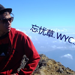 忘忧草.WYC.IA