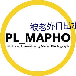 被老外日出水来