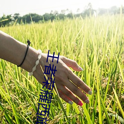 王者榮耀西施做劇烈運動遊