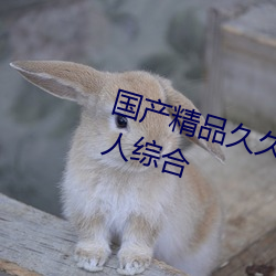 國産精品久久久久久久精品三級成人綜合