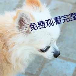 免費觀看完整視頻APP