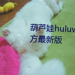 葫芦娃(娃)huluwa葫芦里面(面)不(不)卖药官方最新(新)版