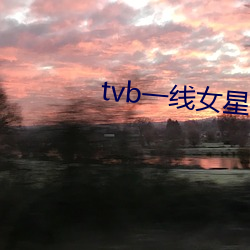 tvb一線女星