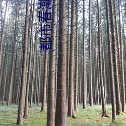 都市春潮(潮)小(小)说