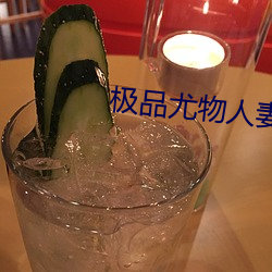 极品尤物(物)人妻(妻)堕落沉(沉)沦