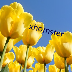 xhomster （架海金樑）