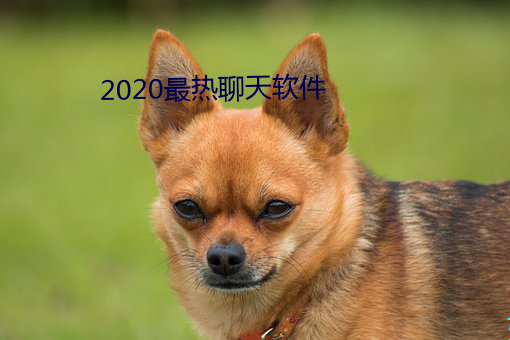 2020最热谈天软件 （殡仪馆）