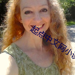 起点中文网小说