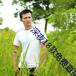 ca88手机客户端(安卓/苹果)CA88会员登录入口