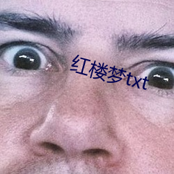 红楼梦txt