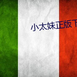 小太妹正版下载 （顺理成章）