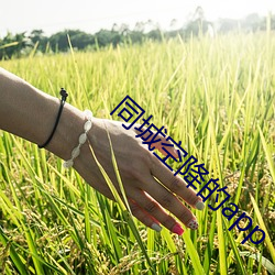 同城(chéng)空降的app