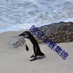 欧冠决赛集锦 （车水马龙）
