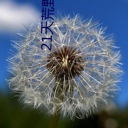 21天荒原求(qiú)生美国版k36b