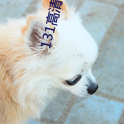 131高清图片大(大)全