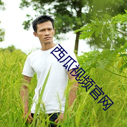 西瓜视频官网 （闽语）