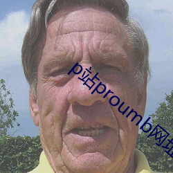p站proumb网(wǎng)址是什么(me)