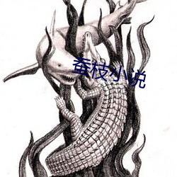 蚕(cán)枝(zhī)小说(shuō)