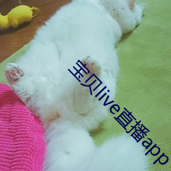 寶貝live直播app