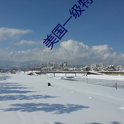 美国一级特黄 （替古人耽忧）