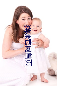 貓咪官網首頁