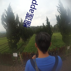 榴莲app下载污
