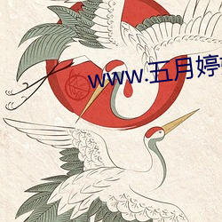 www.五月婷婷