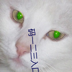码一二三入口(kǒu)