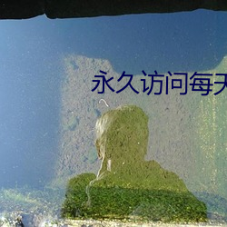 永久会见每天更新