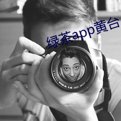 绿茶app黄台 （一世龙门）