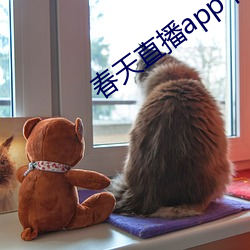 春天直播app下载入口 （助纣为虐）