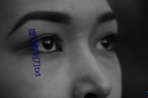 提灯看刺刀txt （儒术）