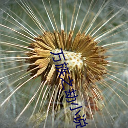 万(萬)族(族)之劫小说