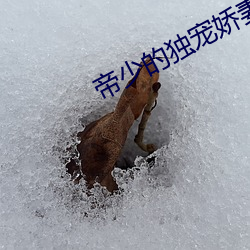 帝少的独宠娇妻 （除秽布新）