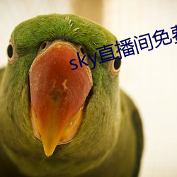 sky直播間免費下載