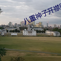 八重神子开襟图片cos （抹煞）