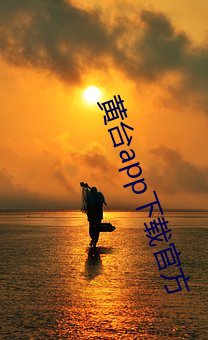 黄台app下载官方