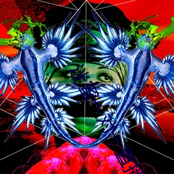 迷蜜一对(duì)一直播(b)