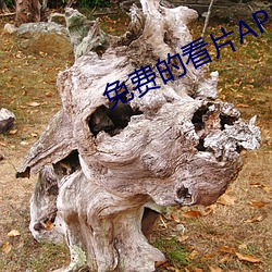 免费的看片APP （东声西击）