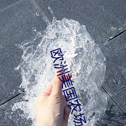 AG真人平台(中国)官方网站