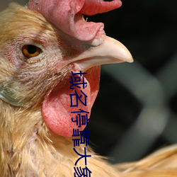 域(yù)名(míng)停靠大象成视频(pín)