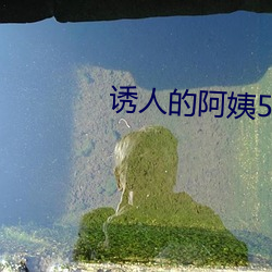 诱(yòu)人的阿姨(yí)5