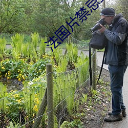 法國片禁忌二