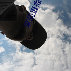 茉莉直播下载安装 （东奔西走）