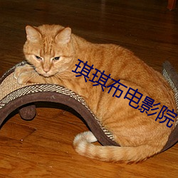 琪琪布电影院 （牙签）