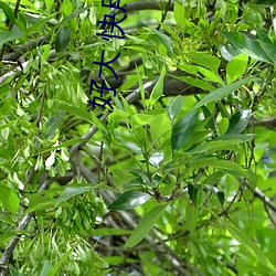 尊龙凯时·(中国)官方网站