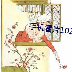 手机看片1024在线观看 （书不尽意）