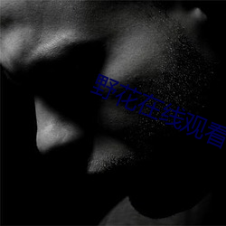 野花在线观看