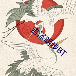 吉泽明步BT